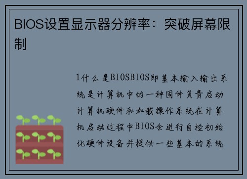 BIOS设置显示器分辨率：突破屏幕限制